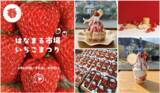 「＜千葉県南房総市＞道の駅ローズマリー公園 はなまる市場　旬をめいっぱいたのしもう！！「はなまるいちごまつり」2026年3月6日(金)～2026年3月8日(日)の3日間開催！」の画像1