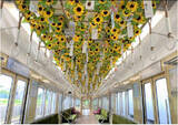 「のせでん夏の風物詩 風鈴電車2026の運行風鈴絵付け・車内取り付け体験イベントの開催について」の画像3