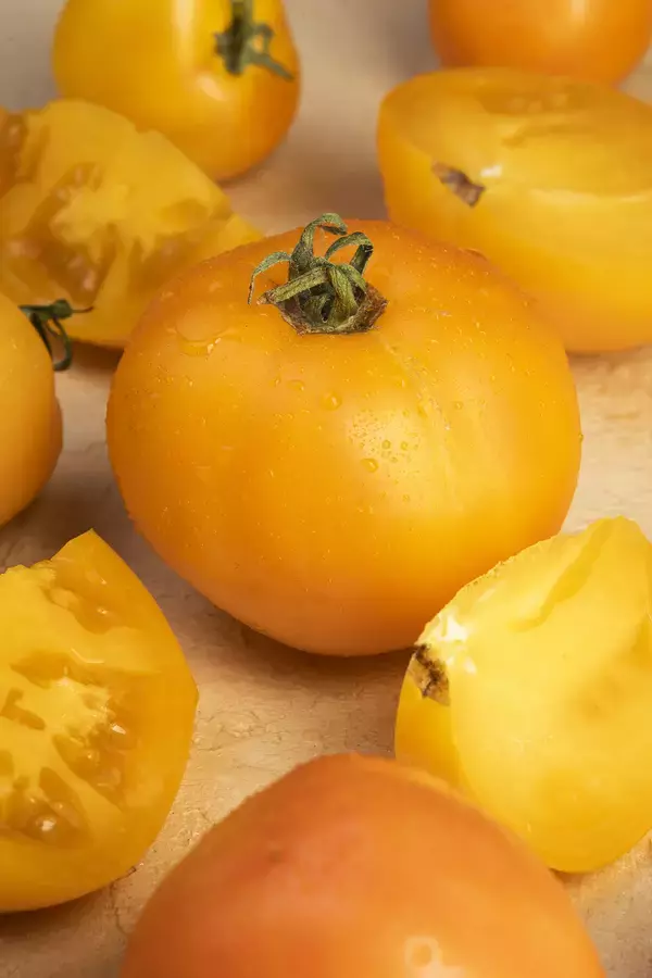 「医療機関専売サプリメント「PHYTOBRIGHT-MD(ファイトブライトエムディ」日本国内展開開始」の画像