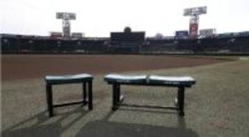 “あの熱気と歓声をいつもそばに”甲子園eモールに「阪神甲子園球場リユースベンチ」が新登場！！第98回選抜高等学校野球大会グッズも2月9日（月）販売開始