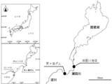 「琵琶湖に養殖ウナギを放流すると大きく成長することを明らかに　ダム上流域の湖沼が養殖ウナギの放流場所に適している可能性を提示」の画像1
