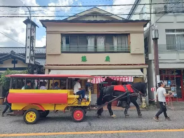 「【塩原温泉】新緑の渓谷を五感で楽しむ期間限定イベント」の画像