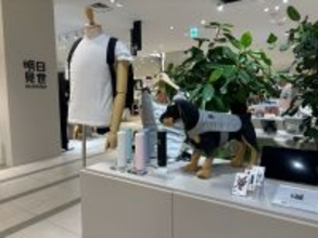 東京駅直結の大丸東京店「明日見世」でMr. Nomads冷却シリーズが登場。夏本番前に体験できるアイテムを出品