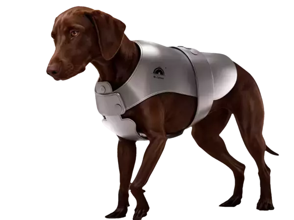 「東京駅直結の大丸東京店「明日見世」でMr. Nomads冷却シリーズが登場。夏本番前に体験できるアイテムを出品」の画像