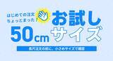 「画像を置くだけで総柄デザインを作成可能　印刷通販デジタ、「布生地プリント」の取り扱いを開始」の画像4