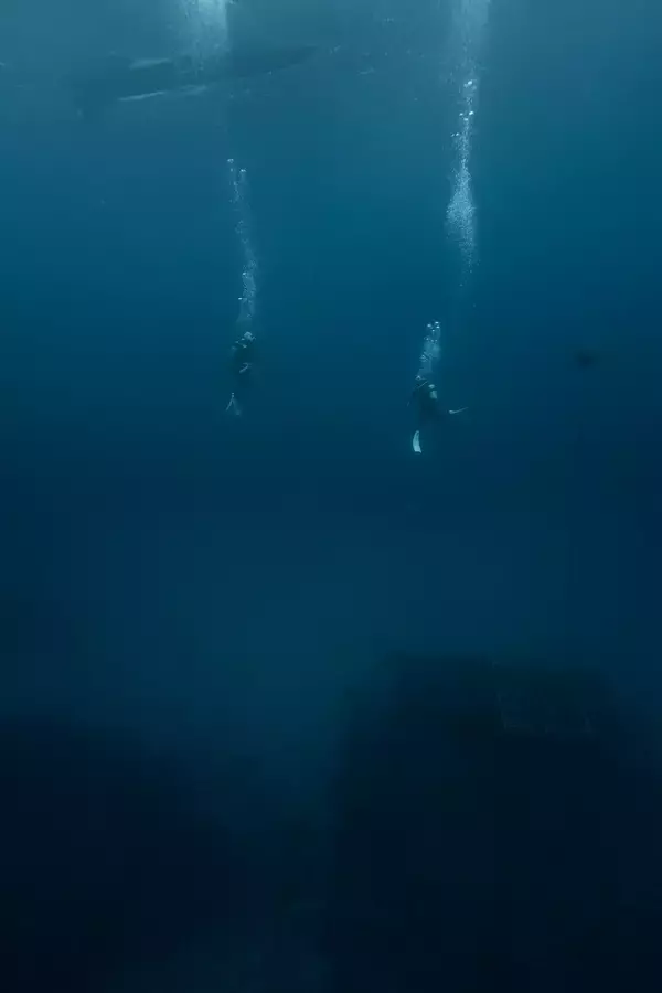 「沖縄の海底で熟成される「ハーブオイル」― 海洋環境を“熟成庫”とする、次世代ウェルネス研究を開始 ―」の画像