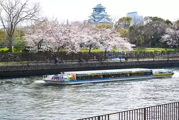 大阪水上バスの“お花見クルーズ”　2026年2月1日（日）より一般予約受付開始！