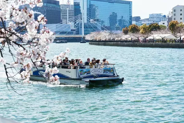 「大阪水上バスの“お花見クルーズ”　2026年2月1日（日）より一般予約受付開始！」の画像