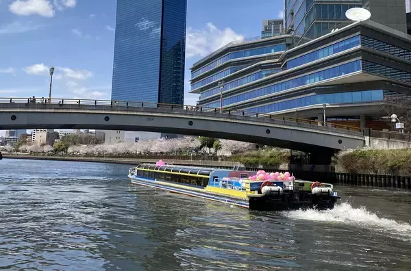 「大阪水上バスの“お花見クルーズ”　2026年2月1日（日）より一般予約受付開始！」の画像
