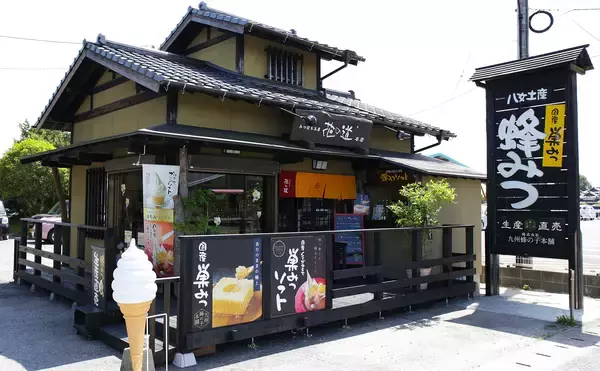 「巣ごと味わう「国産純粋巣みつ」2026年の新蜜を6月下旬発売　みつばちが巣に貯蔵した自然のままの純粋はちみつ」の画像