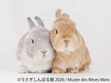 「10周年“うさぎの祭典”が開幕！200点超の作品＆限定グッズが集結「うさぎしんぼる展 2026」9/18(金)から東京で開催」の画像1