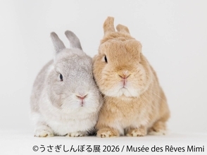 10周年“うさぎの祭典”が開幕！200点超の作品＆限定グッズが集結「うさぎしんぼる展 2026」9/18(金)から東京で開催