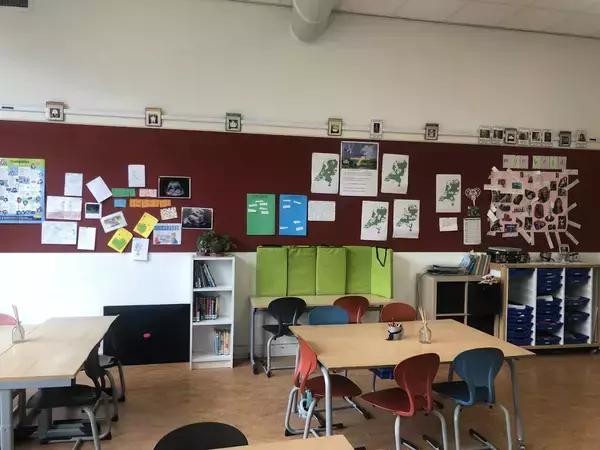 「『日本の公教育、教育改革の道筋』～生きづらい社会を乗り越える～　リヒテルズ直子さんオンライン講演会(全2回)1月・2月開催」の画像