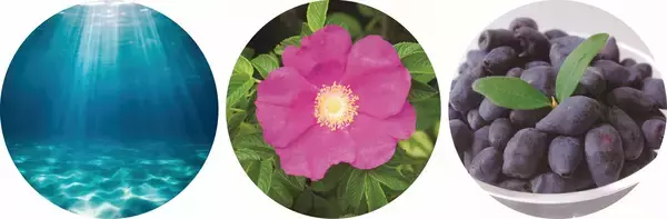 「北海道産サーモンのマリンプラセンタ(R)配合。もちもち濃密泡が古い角質や汚れをやさしくオフ！2026年1月5日(月)より数量限定発売『北のプラセンタ もっちり洗顔フォーム』」の画像