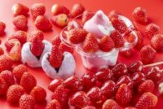 【2/20(金)から】ビル一棟まるごといちごスイーツ専門店より「静岡いちごの収穫祭」を2/20より初開催！