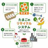 「店舗から発生する食品残さを活用した環境にやさしいたまご「たまごは季節の贈り物」を30店舗限定販売！」の画像2