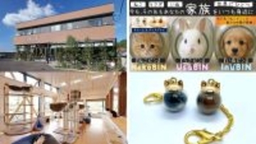 「ねこビン」が大分県の保護猫カフェと連携　毛を“想い出”として詰めて贈る、新しい里親支援のかたち
