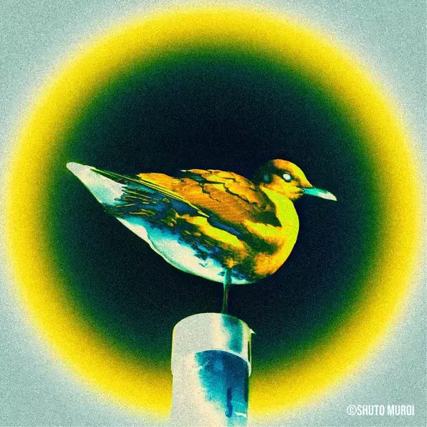 「新進気鋭写真家shuto muroi /ムロイシュウトが主幹を務める「Creator Factory for Pictures」事業を開始」の画像