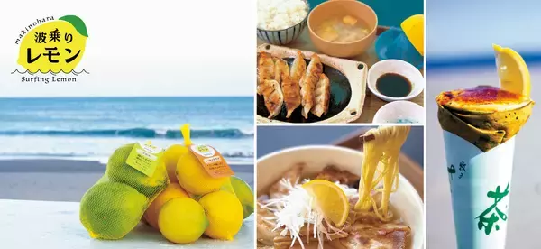 『道の駅そらっと牧之原』に牧之原市の新たな特産品“波乗りレモン”の波が遂に到来！「波乗りレモンフェア」を2/7～23で開催！期間限定の爽やかな味わいをご提供