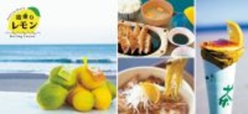 『道の駅そらっと牧之原』に牧之原市の新たな特産品“波乗りレモン”の波が遂に到来！「波乗りレモンフェア」を2/7～23で開催！期間限定の爽やかな味わいをご提供
