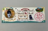 「黒部峡谷鉄道　宇奈月～猫又間開通100周年記念「うちの子ねこきっぷ＆缶バッジ」プレゼント！」の画像2