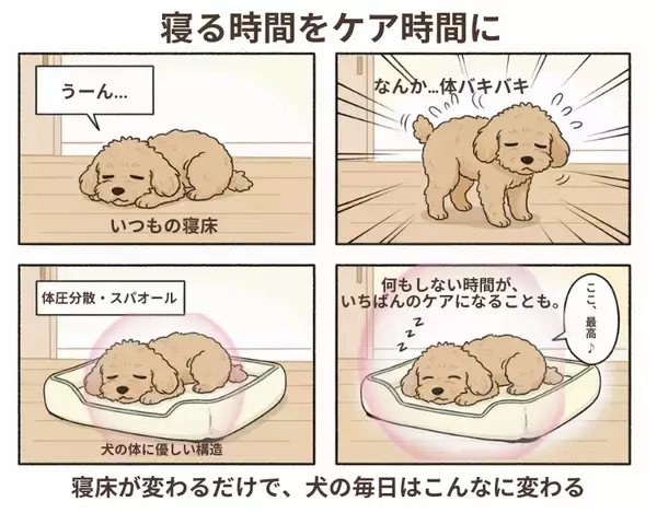 「【寝てる間に健康をサポート】　犬用リカバリーベッドがクラウドファンディングに登場。特許高機能素材「スパオール」で、血行促進・体幹安定・リラックスへ導く。ペットの不安や興奮を抑えぐっすり快眠をサポート。」の画像