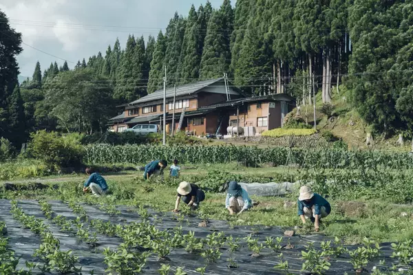 「山里に受け継がれた“合理の美”。無駄を出さない衣服文化を未来へ。石徹白洋品店（岐阜県郡上市）、4月4日春の営業開始と三都市展示会開催」の画像