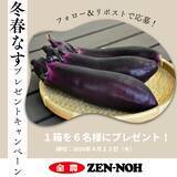 「～４月１７日は「なすび記念日」！～全農直営飲食店舗で「冬春なすフェア」を４月１６日（木）～４月３０日（木）まで開催」の画像3