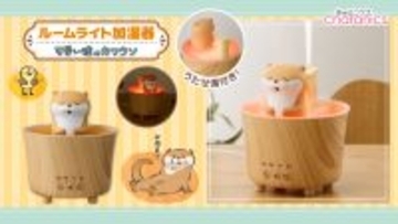 『可愛い嘘のカワウソ』が温泉でゆっくりのんびり♪年中使えるルームライト加湿器が登場！1台で3通りの使い方、加湿・ライト・両方使用も可能