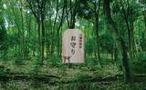 「吉備津神社 国宝本殿・拝殿再建600年＋1を記念し「吉備津神社の“体験する”デザイン展」7月14日から開催」の画像4
