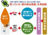 「腸疾患治療の第一人者・松生恒夫先生が大注目！「脂肪燃焼」だけじゃない、消化器内科医が提唱する「腸内環境リセット」効果も　～基礎代謝が上がる冬にこそ注目したい、MCTオイルの健康長寿力～」の画像4