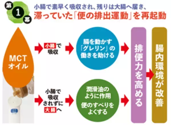 「腸疾患治療の第一人者・松生恒夫先生が大注目！「脂肪燃焼」だけじゃない、消化器内科医が提唱する「腸内環境リセット」効果も　～基礎代謝が上がる冬にこそ注目したい、MCTオイルの健康長寿力～」の画像
