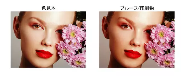 「世界初、色見本と印刷物の絵柄での数値色合わせを自動化した『ピタット・カラー』誕生」の画像