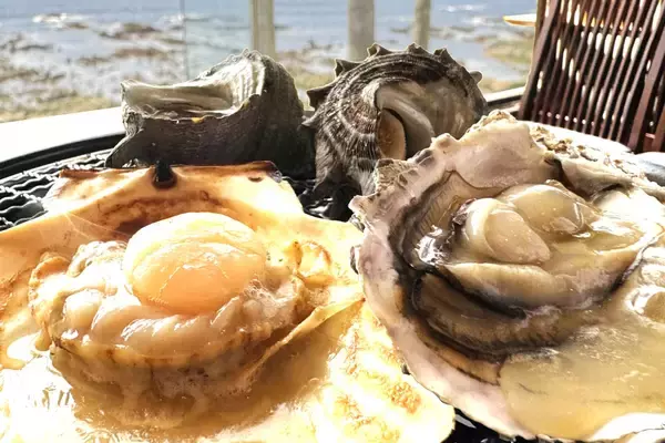 【期間限定】昨年テレビで紹介された人気企画が復活！全室オーシャンビューのリゾートで楽しむ海鮮網焼き