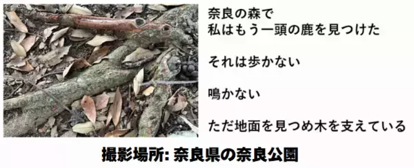 「写真から広がる想像力を作品に「第1回 世界想像×創造コンテスト」開催」の画像