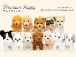 犬好きの心をつかむ新ギフト！リアルな仕上がりの「プレミアムパピー」全12種類のぬいぐるみ電報を新発売、祝電ギフト需要に対応