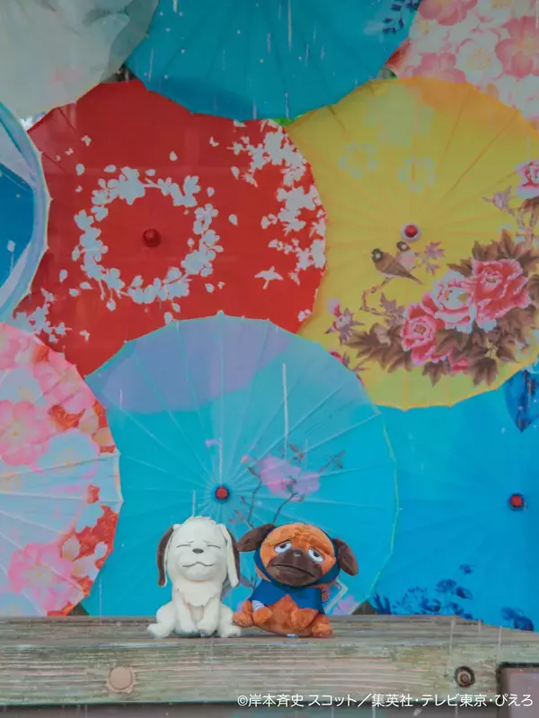 雨が滴る五月雨（さみだれ）の中、忍の世界に映る“あなた”を切り取って「NARUTO＆BORUTO 忍里　五月雨祭2026」イベント情報第２弾