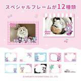 「レトロ可愛い写真が撮れちゃう！『メゾピアノ』デジタルトイカメラが TOKOTOYZから新登場！」の画像3