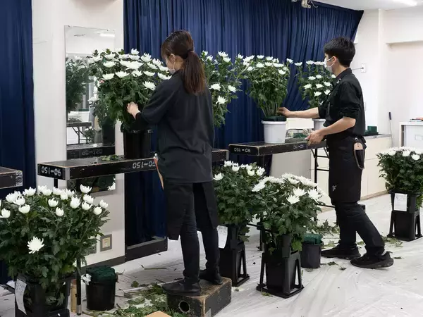 「後継者不足に悩む「葬祭花専門店」の事業承継を支援　経営改善・M&A支援を含む個別経営相談の受付を本格強化」の画像