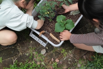 「育てるって、面白い。」創業75年の園芸店「愛栽家族」が、“もう一つの愛栽かぞく”となるEC事業をスタート