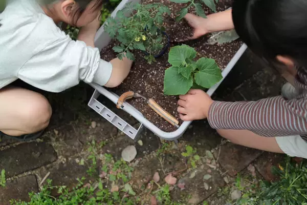 「育てるって、面白い。」創業75年の園芸店「愛栽家族」が、“もう一つの愛栽かぞく”となるEC事業をスタート