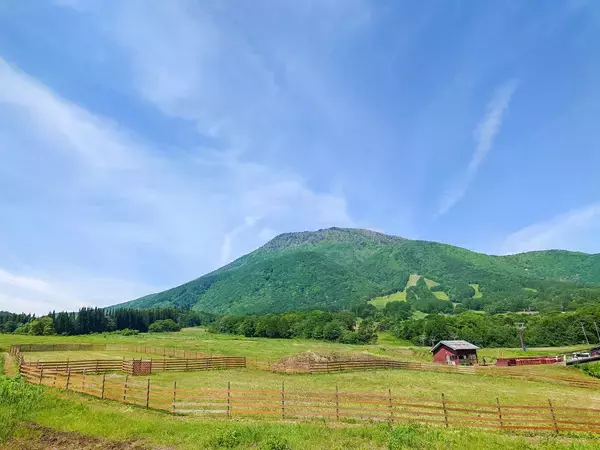「愛犬と夏を涼しく楽しむ2日間！黒姫GREENGARDENで「第4回ゆるっとにくきゅうフェス」開催」の画像