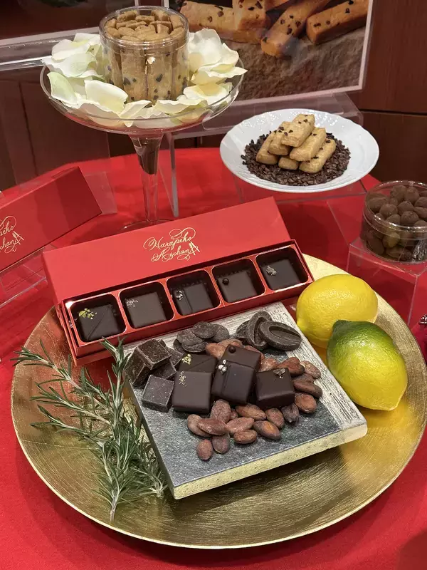 「鹿児島インフルエンサー・はらぺこあいちゃんがコラボ」の画像