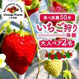 「【京都府八幡市】現地でつかえるふるさと納税「ココふる」がサービス開始。「上杉農園」でのいちご狩りがお礼の品に登場」の画像2