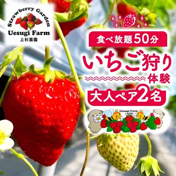 「【京都府八幡市】現地でつかえるふるさと納税「ココふる」がサービス開始。「上杉農園」でのいちご狩りがお礼の品に登場」の画像