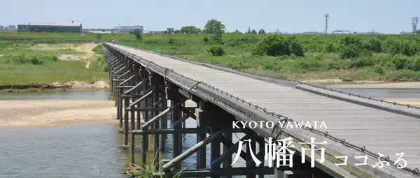 「【京都府八幡市】現地でつかえるふるさと納税「ココふる」がサービス開始。「上杉農園」でのいちご狩りがお礼の品に登場」の画像