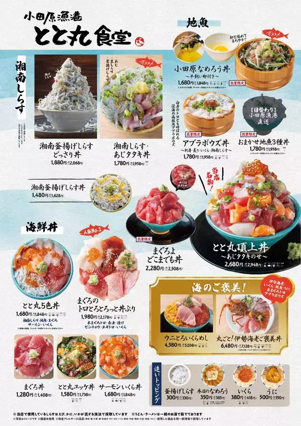 「小田原漁港に“海鮮城”・“食べる灯台”出現！？豪快な“海鮮桶丼”と“小田原城”がグルメになって登場漁港飯を味わう「とと丸食堂」メニュー大幅リニューアル」の画像