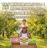 「「異常気象に負けない！鶴岡の果樹園を次世代へ。息子に誇れる農業を残したい」」の画像1