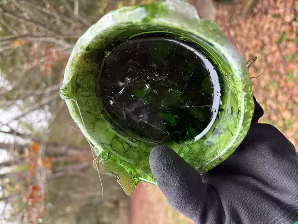 「太陽光パネルアップサイクルプロダクト「Daylight Glass」プロジェクト始動!」の画像