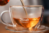 「スリランカ発エシカル紅茶ブランド「Dilmah」阪急うめだ本店で体験型ポップアップストア開催」の画像2